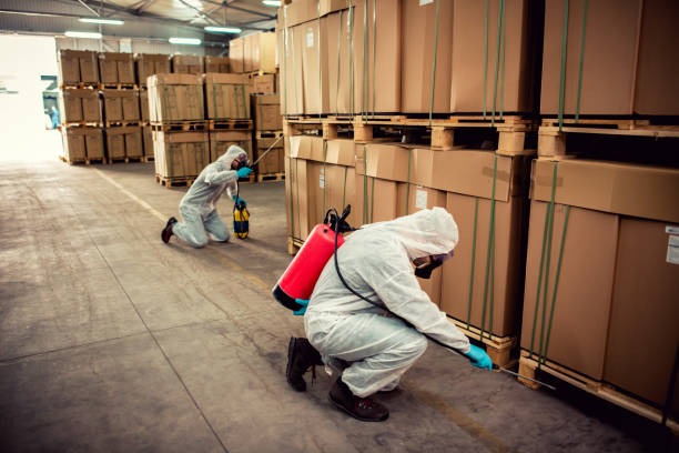 Best Emergency Pest Control  in Arta, CA