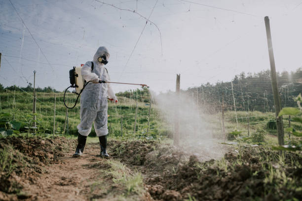 Best Pest Prevention Services  in Arta, CA