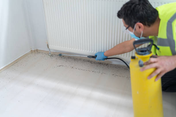 Best Pest Inspection Near Me  in Arta, CA